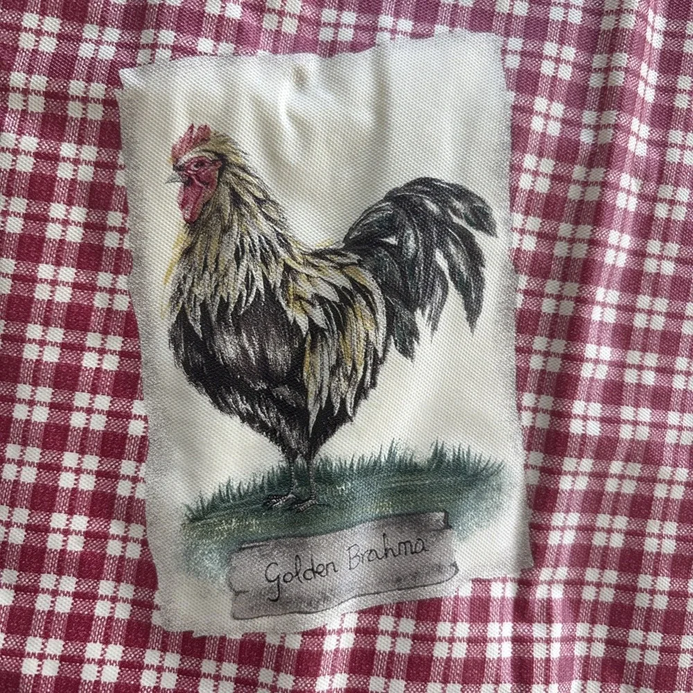 Chicken Rooster‎ Vinyl Placemats Country Farmhouse Rustic Set Of 8 Red Check
